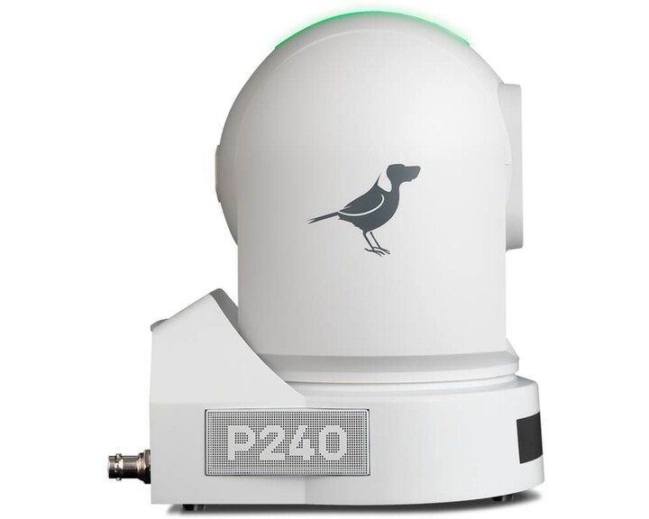 BirdDog P240 PTZ Camera [ HD 40x zoom White ]